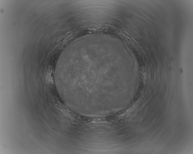 X0000073730770200608241256