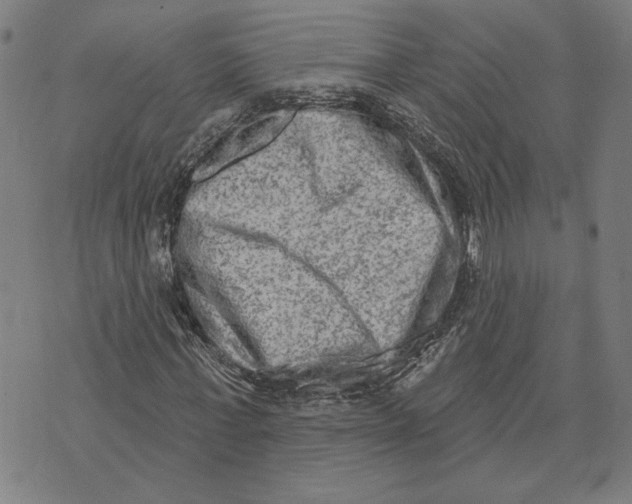 X0000073730771200608241256