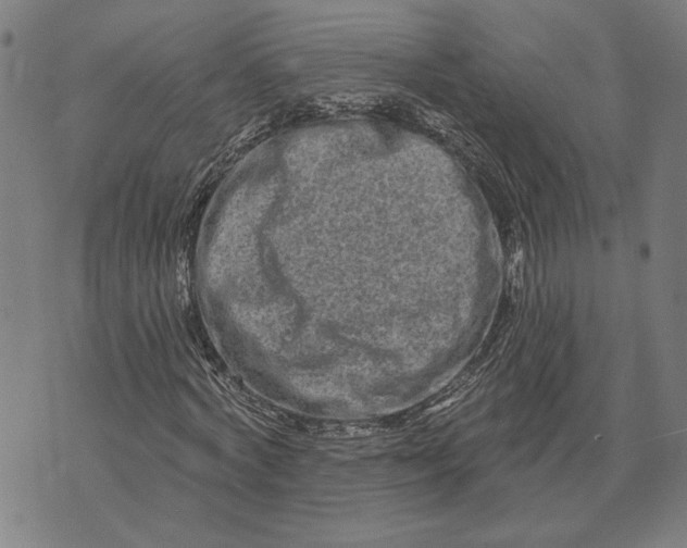 X0000073730772200608241256