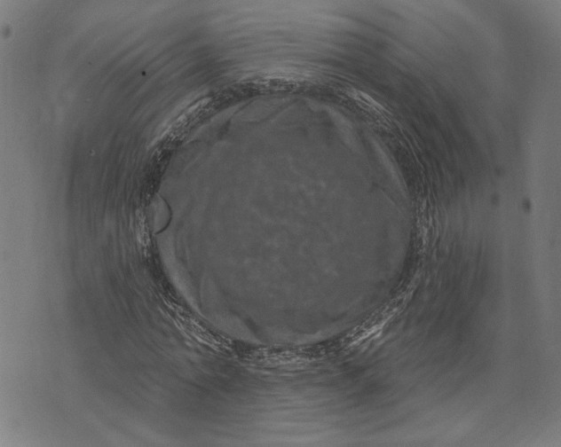 X0000073730774200608241256