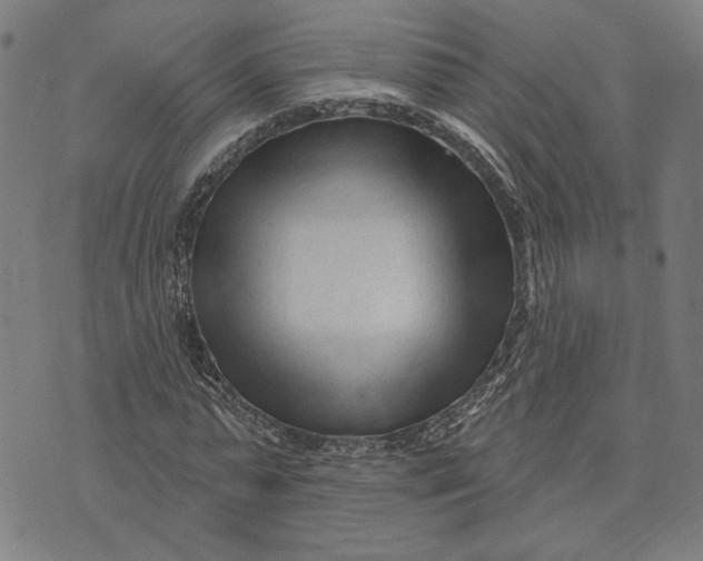 X0000073730775200608241256