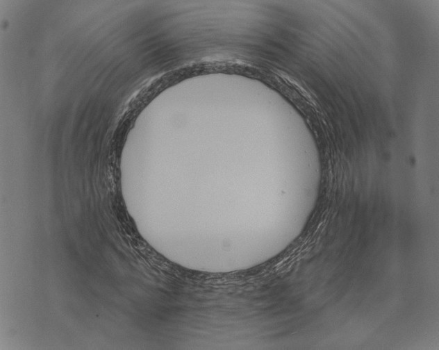 X0000073730776200608241256