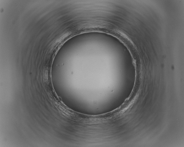 X0000073730777200608241256