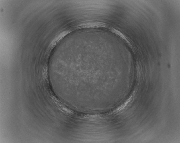 X0000073730778200608241256