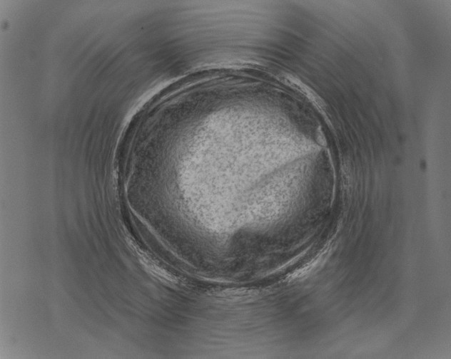 X0000073730779200608241256