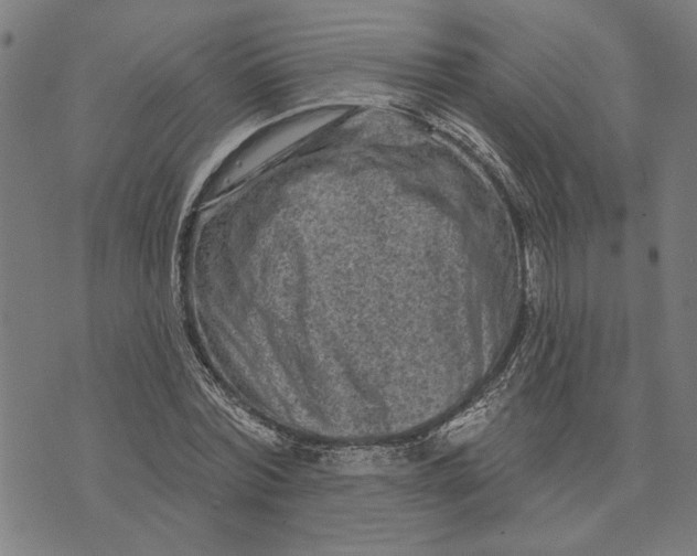 X0000073730780200608241256