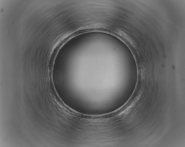 X0000073730781200608241256