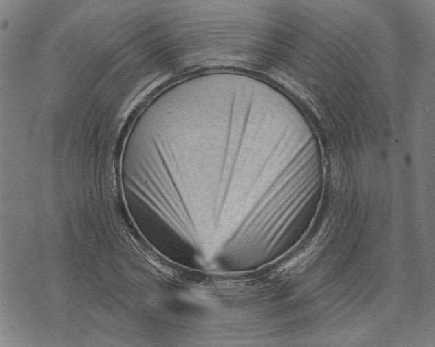 X0000073730782200608241256