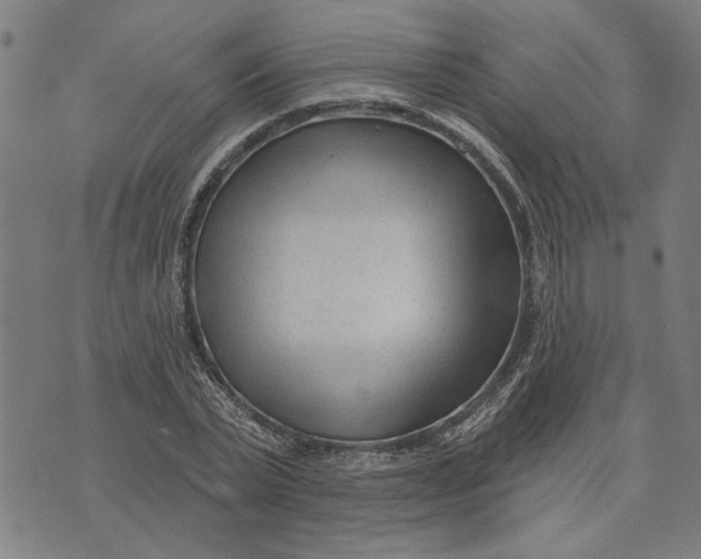 X0000073730783200608241256