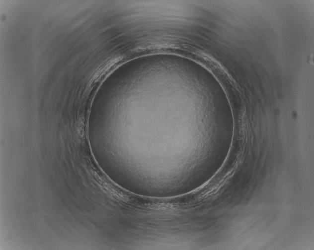 X0000073730785200608241256