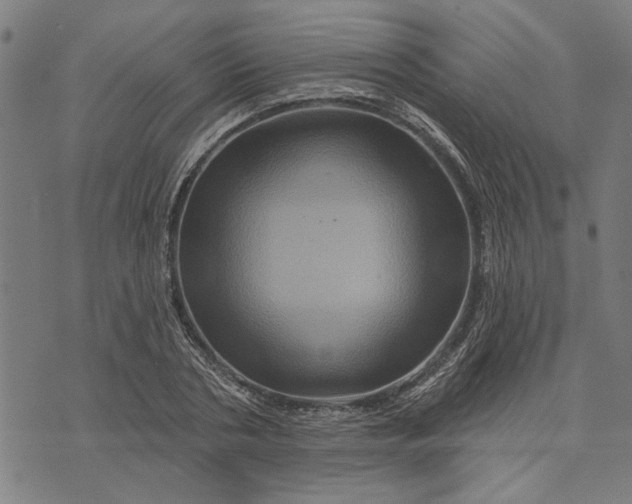 X0000073730786200608241256