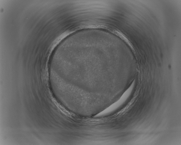 X0000073730787200608241256