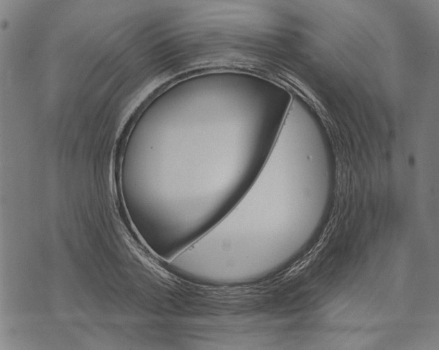 X0000073730788200608241256