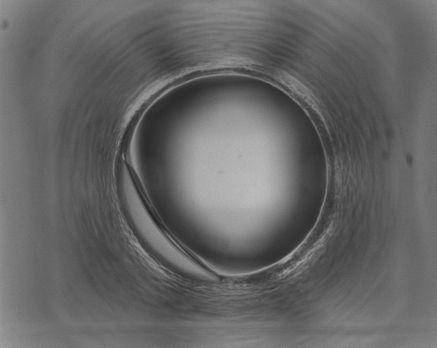 X0000073730789200608241256