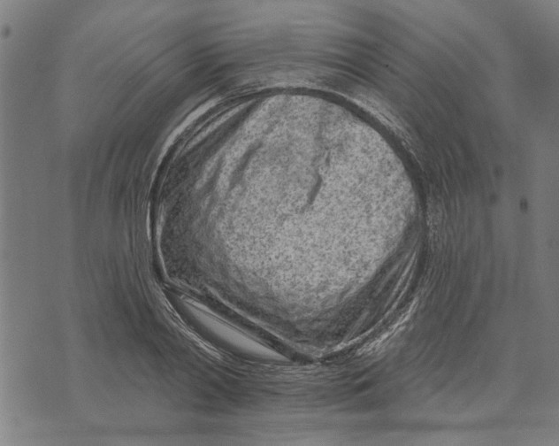 X0000073730790200608241256