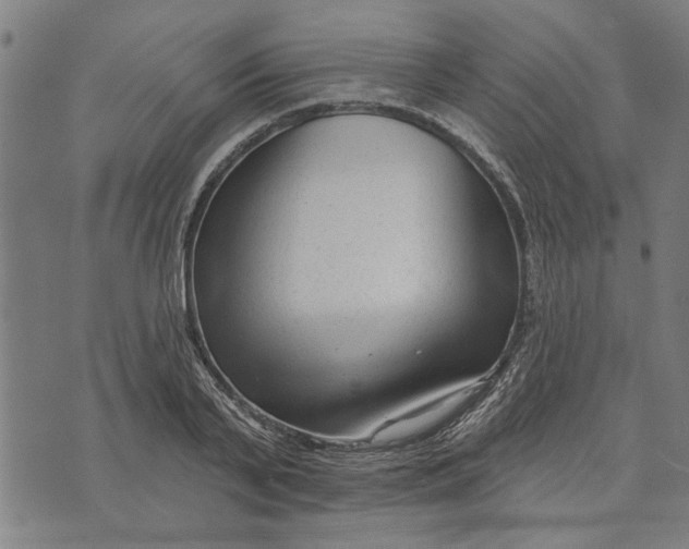 X0000073730791200608241256