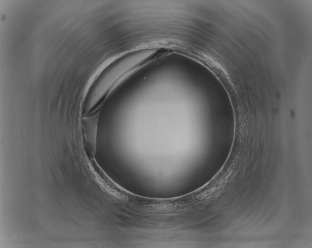 X0000073730792200608241255