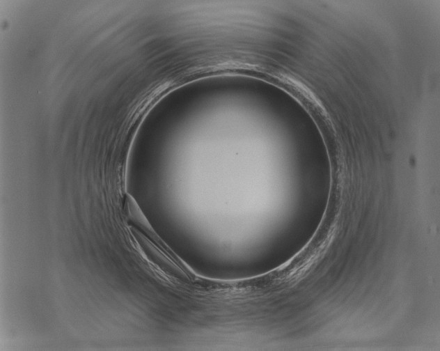 X0000073730793200608241255