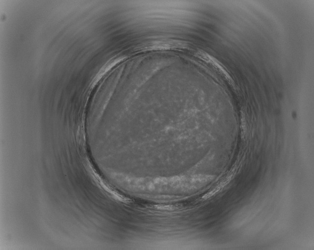 X0000073730794200608241255