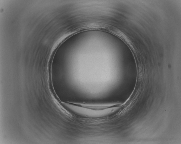 X0000073730795200608241255