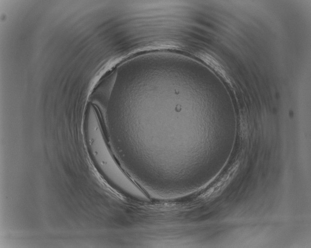 X0000073730797200608241255