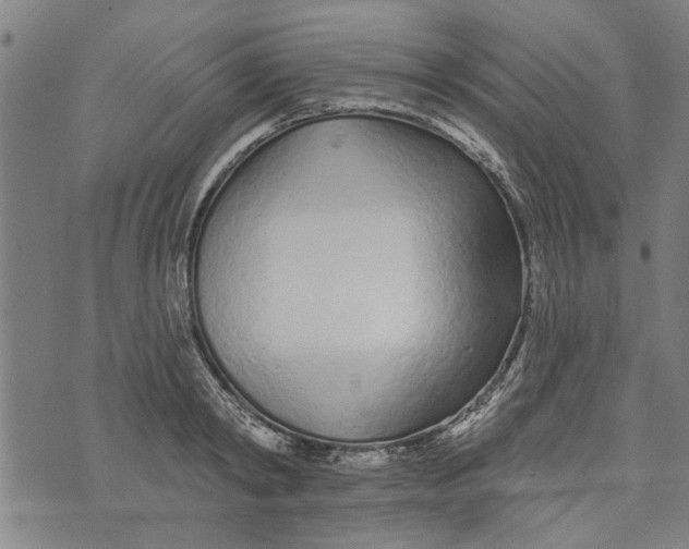 X0000073730798200608241255