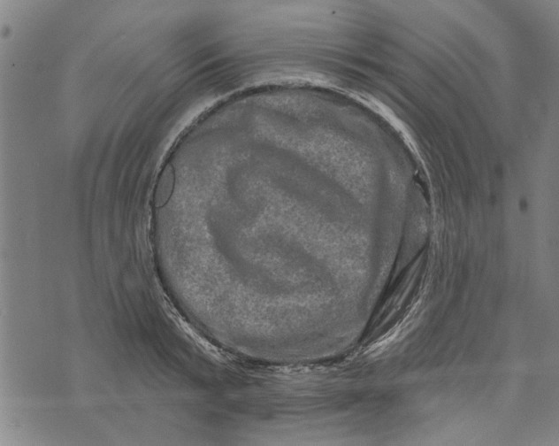 X0000073730799200608241255