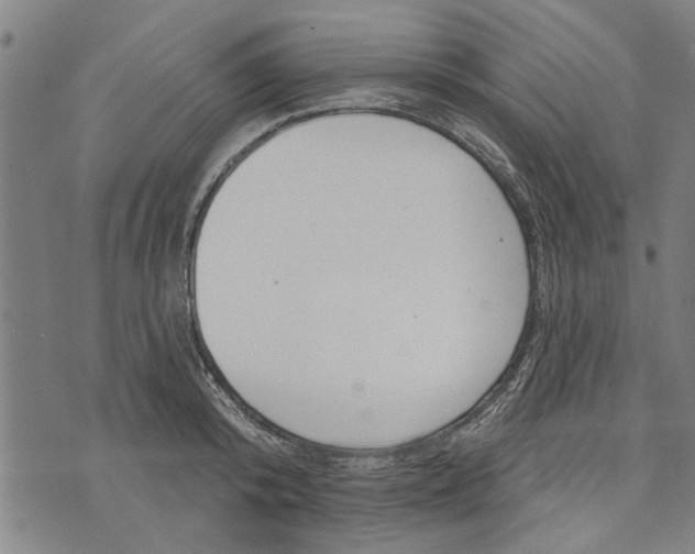 X0000073730800200608241255