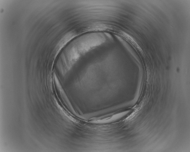 X0000073730802200608241255