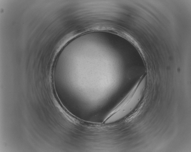 X0000073730803200608241255