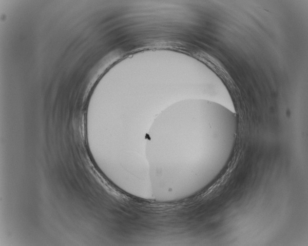 X0000073730804200608241255