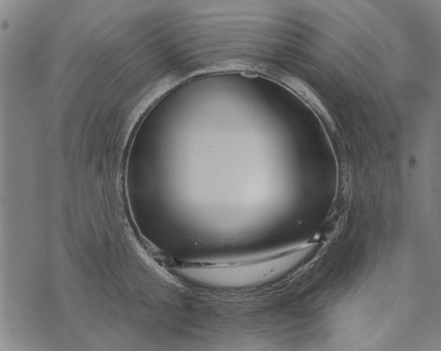 X0000073730805200608241255