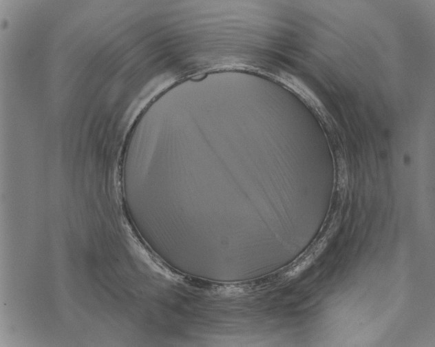 X0000073730806200608241255