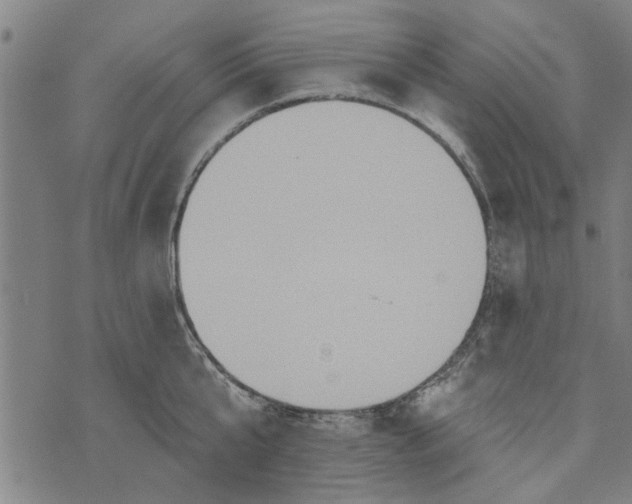 X0000073730807200608241255