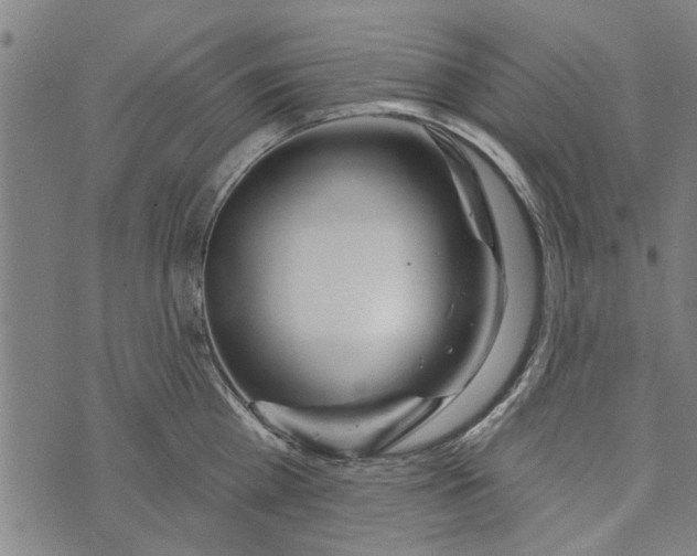 X0000073730809200608241255