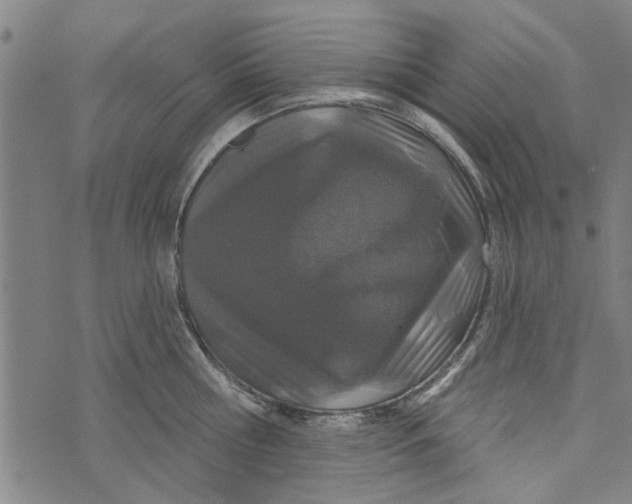 X0000073730810200608241255