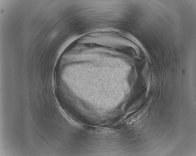 X0000073730811200608241255