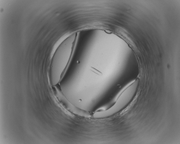 X0000073730812200608241255