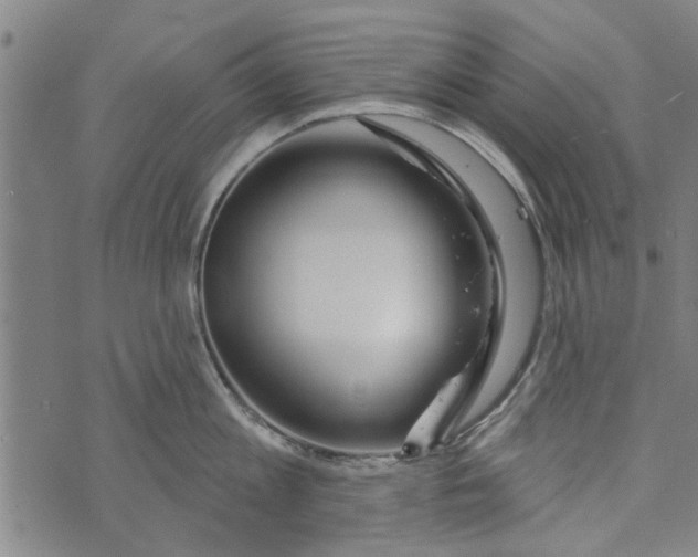 X0000073730813200608241255