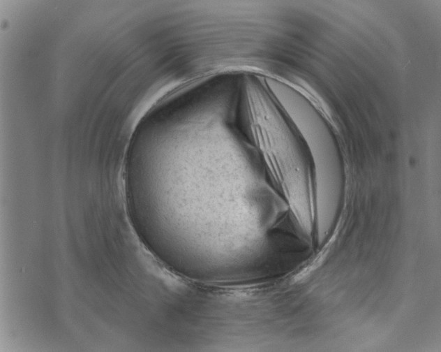 X0000073730814200608241255