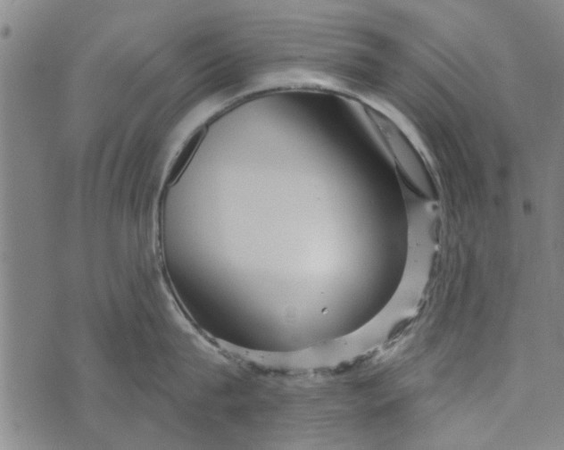 X0000073730815200608241255