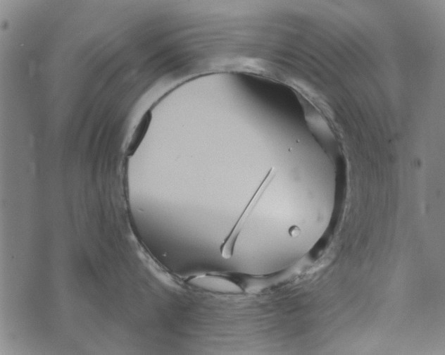 X0000073730816200608241255