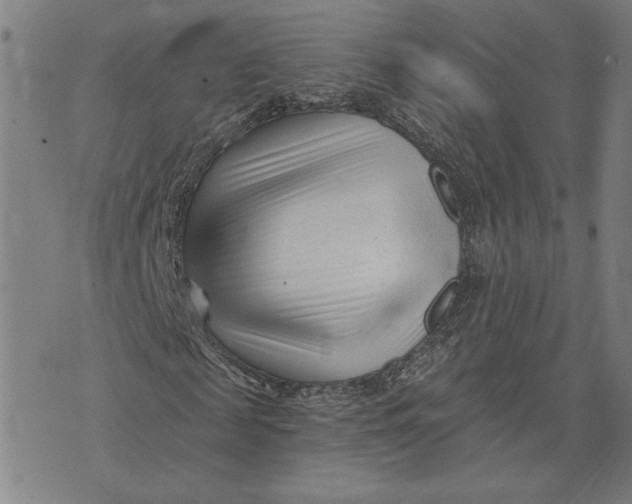 X0000073730817200608241254