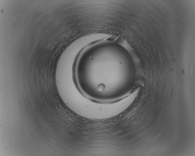 X0000073730818200608241254