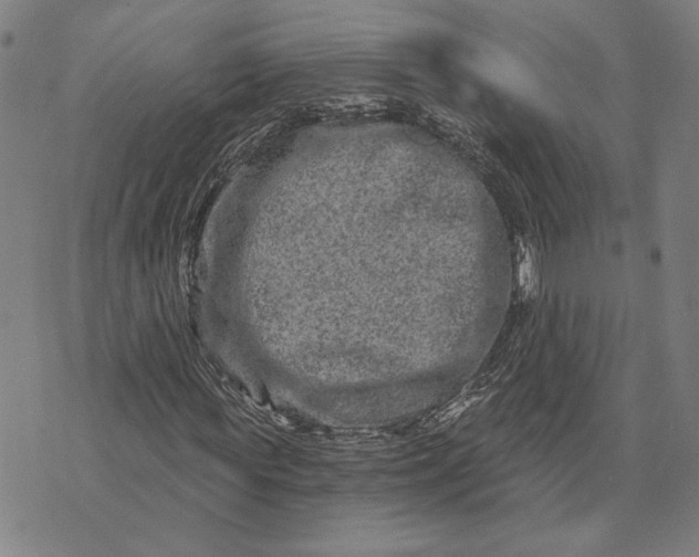 X0000073730819200608241254