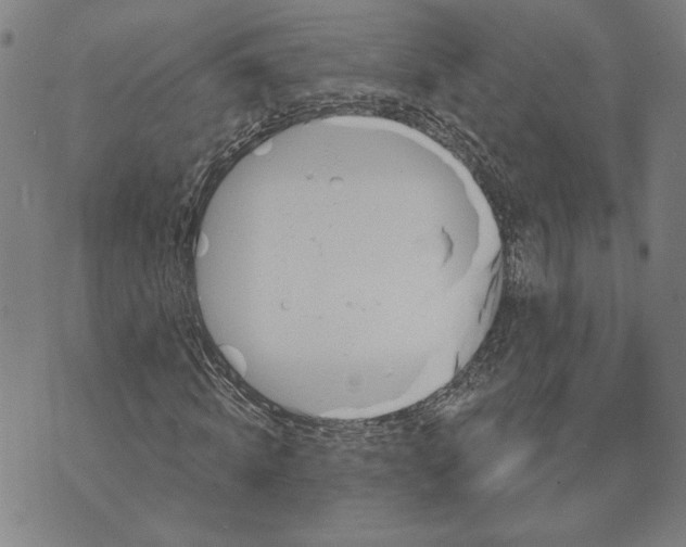 X0000073730820200608241254