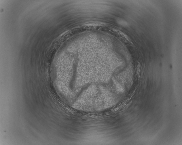 X0000073730821200608241254