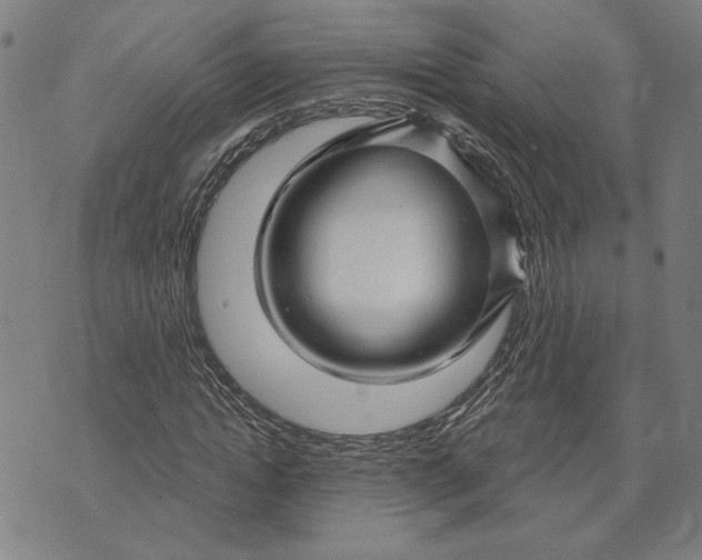 X0000073730822200608241254