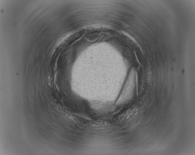 X0000073730823200608241254