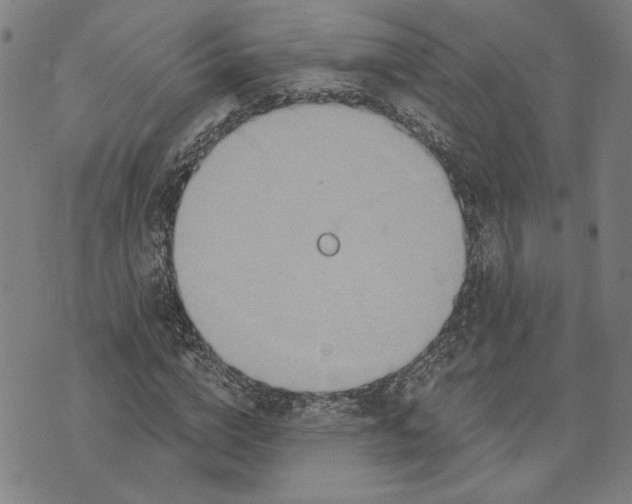 X0000073730824200608241254